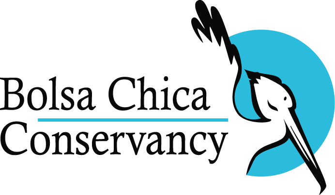 Bolsa Chica Conservancy Logo